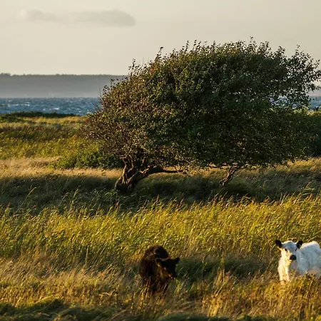 Helenes Haeuschen - Schloss Gelting 펜션 *